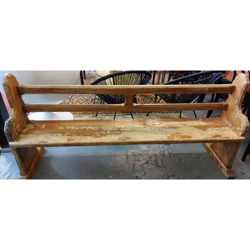 1123 - Pine Bench - C. 194cm W