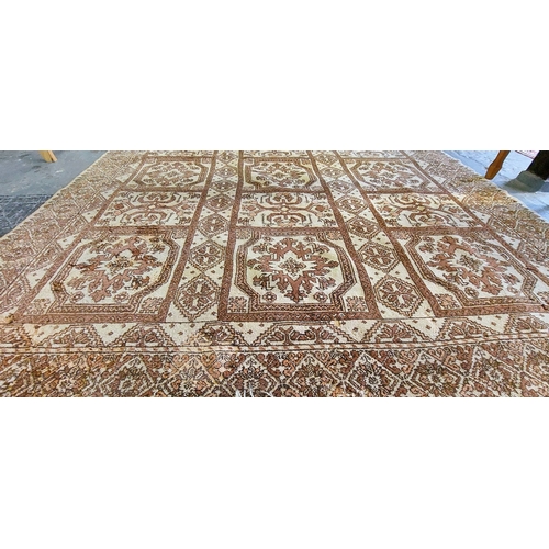 1145 - Cream Wool Hand Knotted Carpet Square - C. 320cm x 210cm