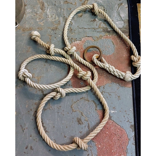 1159 - Rope Ladder, Trapeze & Climbing Rope