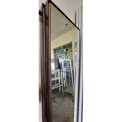 1181 - 5 x Black Quality In Frame Floating Mirrors - C. 200cm H x 45cm W