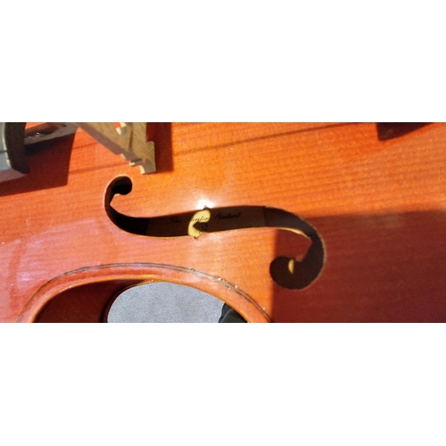 123 - Cased Violin by Stentor England