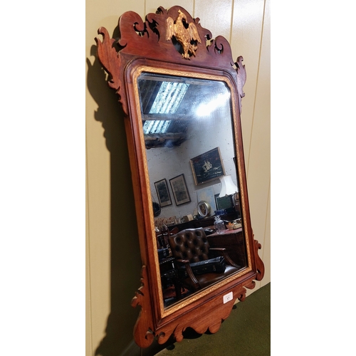 17 - 19th Century Carved and Gilded Mahogany Wall Mirror - C. 47cm W x 84cm H