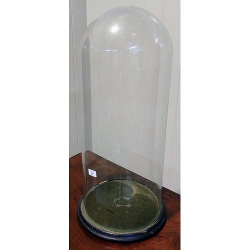 37 - Large Glass Dome & Base - Dome C. 70cm H x 30cm W