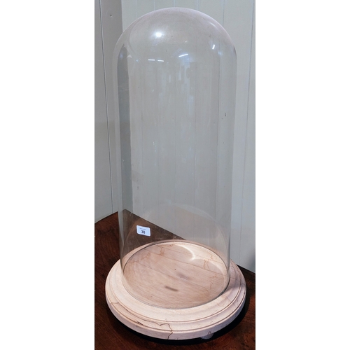 38 - Large Glass Dome & Beechwood Base - Dome C. 70cm H x 30cm W