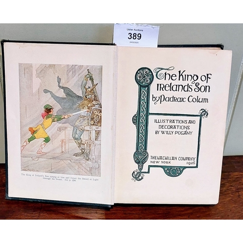 389 - The King of Ireland's Son by Padraic Colum 1926, Illustrated by Willy Pogany