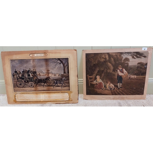 Lot 29        