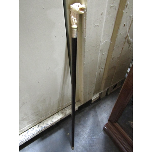 Lot 182       
