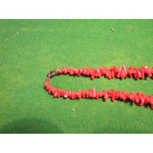 515 - Ladies Coral Necklace of Naturalistic Form with Silver Clasp