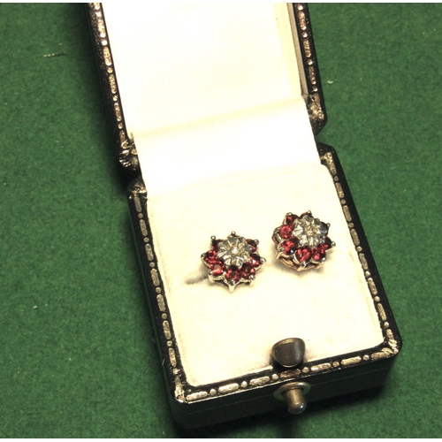 79 - Pair of 9 Carat Gold Garnet and Diamond Cluster Earrings Each Set with Central Single Cut Diamond wi... 