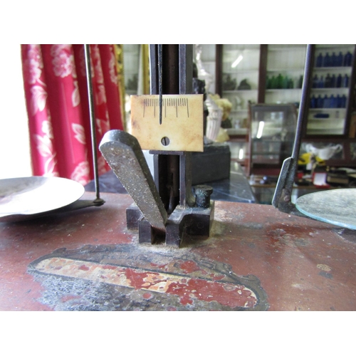 1076 - Victorian Chemist Shop Weighing Scales with Mahogany Base and Contents contained within Approximatel... 