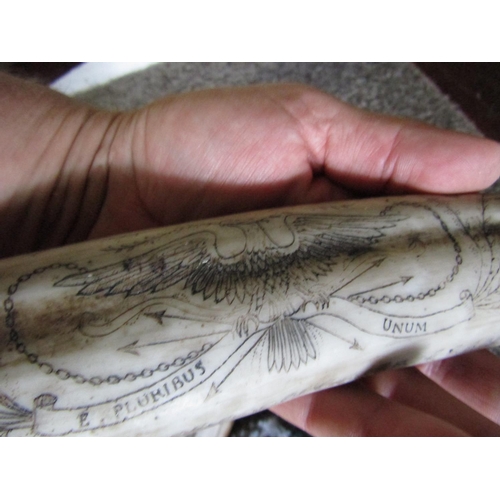 1097 - Another Carved Scrimshaw Decorated with Double Eagle