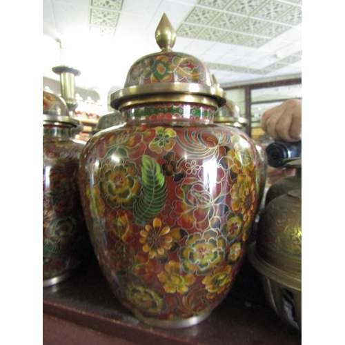 1119 - Pair of Cloisonn Decorated Urns with Finial Surmounted Covers Each Approximately 12 Inches High