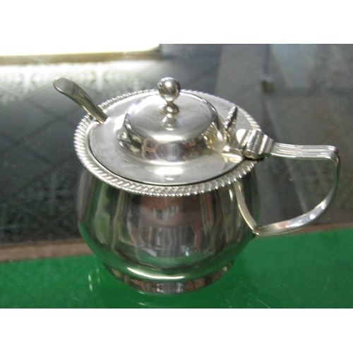 1244 - Solid Silver Cruet with Hinged Cover and Spoon