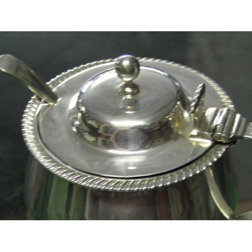 1244 - Solid Silver Cruet with Hinged Cover and Spoon