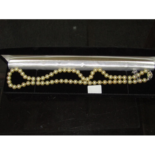 1316 - Ladies Pearl Necklace of Attractive Colour