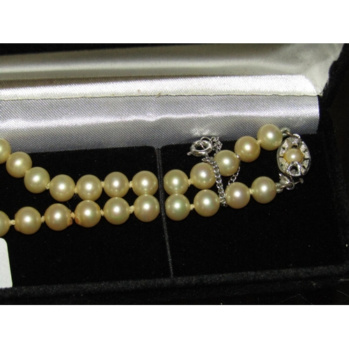 1316 - Ladies Pearl Necklace of Attractive Colour