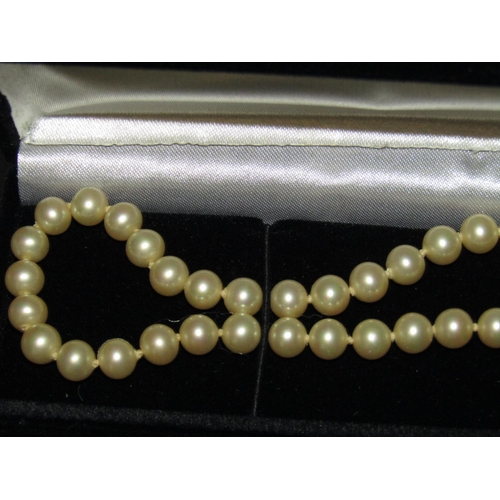 1316 - Ladies Pearl Necklace of Attractive Colour