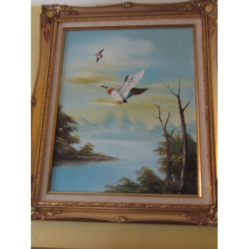 1356 - Pair of Gilt Framed Oil on Canvas Paintings Depicting Ducks in Flight Each Signed Approximately 24 I... 