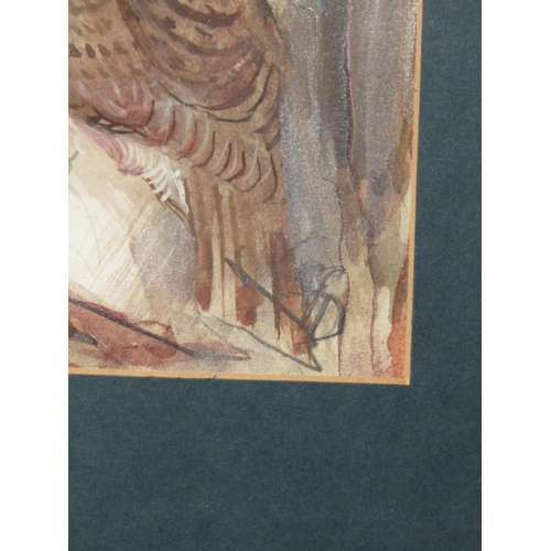 1425 - Irish School Owl Watercolour Approximately 11 Inches High x 9 Inches Wide Signed Indistinctly Lower ... 