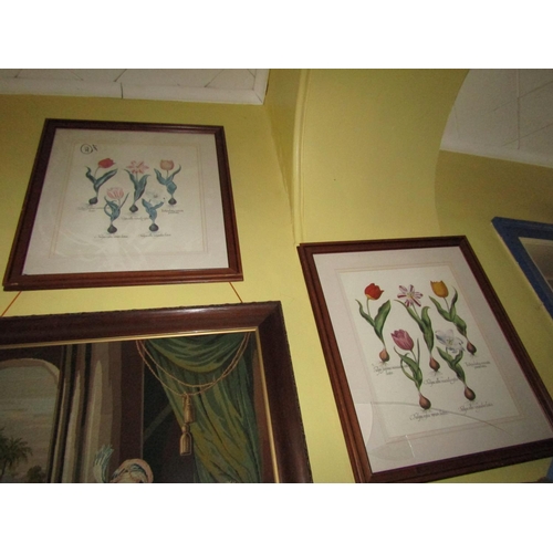 1444 - Pair of Large Floral Studies Lithographs Framed Each Approximately 24 Inches High x 18 Inches Wide P... 