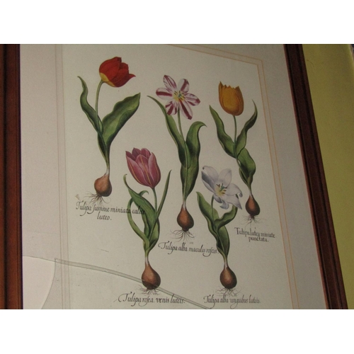 1444 - Pair of Large Floral Studies Lithographs Framed Each Approximately 24 Inches High x 18 Inches Wide P... 