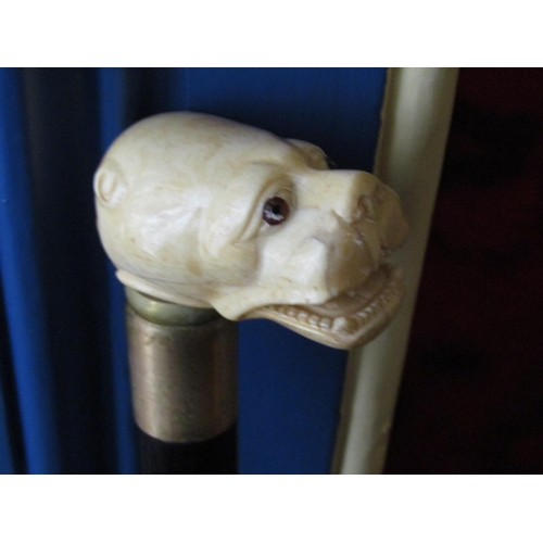 1521 - Carved Hound Motif Handle Walking Stick