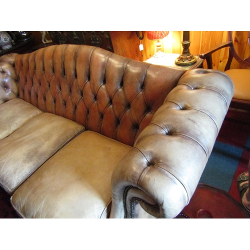 1682 - Leather Deep Button Upholstered Settee on Shaped Supports Approximately 7ft 7 Inches Wide