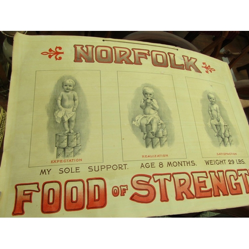 206 - Norfolk Baby Food Edwardian Shop Sign Lithograph on Card Approximately 26 Inches Wide x 18 Inches Hi... 