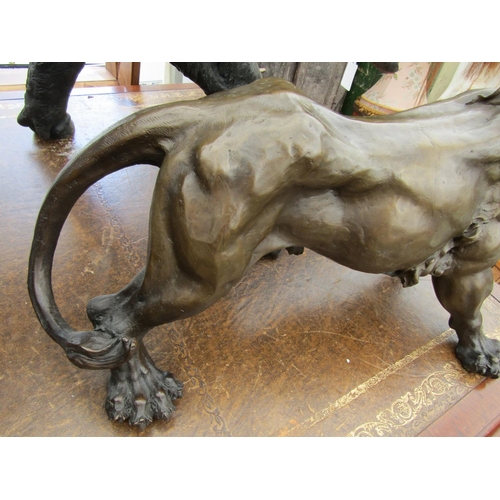 214 - Bronze Sculpture of Lion Finely Chased and Detailed Approximately 20 Inches Wide