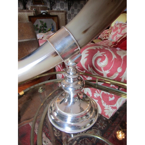 299 - Pair of Silver Plated Mounted Horns of Plenty Each Approximately 18 Inches High