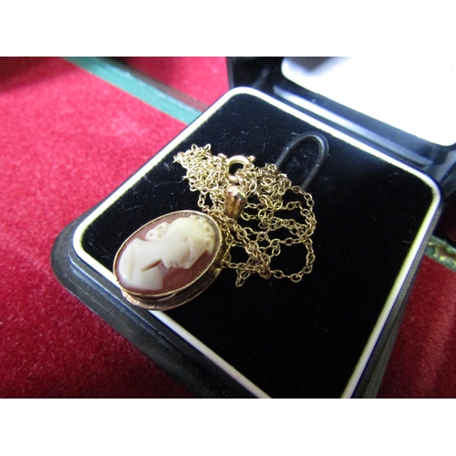 409 - 9 Carat Gold Mounted Cameo Necklace Hanging from 9 Carat Gold Chain