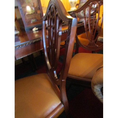 433 - Antique Set of Six Hepplewhite Shield Back Mahogany Chairs with Tan Leather Seats above Well Carved ... 