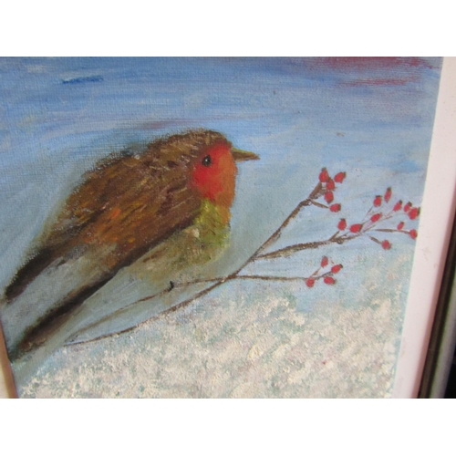 453 - Irish School Study of Robin on Holly Branch Oil on Board Approximately 14 Inches High x 10 Inches Wi... 