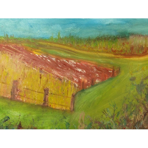 531 - Irish School Oil on Board Field Landscape Signed Indistinctly Lower Right Approximately 18 Inches Hi... 