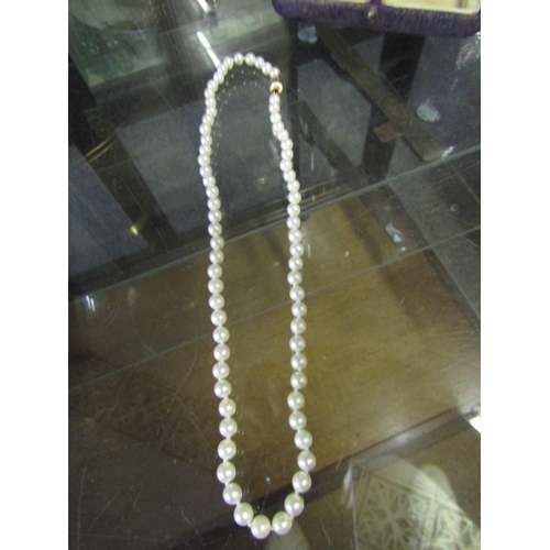 557 - Two Pearl Necklaces with Silver Clasps Good Colour and Hue