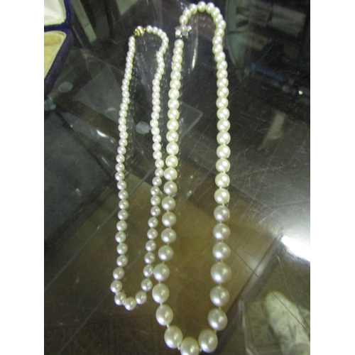 557 - Two Pearl Necklaces with Silver Clasps Good Colour and Hue