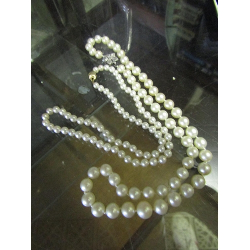 557 - Two Pearl Necklaces with Silver Clasps Good Colour and Hue