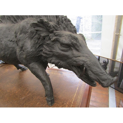 654 - Life-Size Bronze Sculpture of Wild Boar Finely Chased and Detailed Approximately 3ft 6 Inches Wide