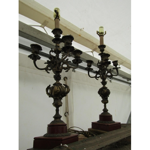 667 - Pair of Bronze Candelabra Rococo Form with Various Sconces above Well Chased Centre Column Support E... 