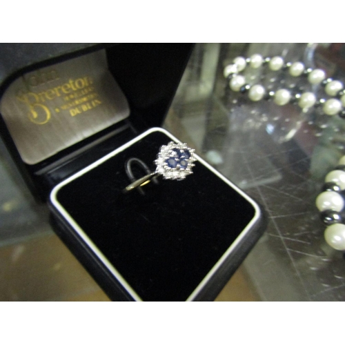 751 - Sapphire and Diamond Ladies Cluster Ring Mounted on 9 Carat Gold