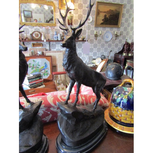 785 - Pair of Bronze Sculptures Standing Stags with Antlers Each Approximately 34 Inches High Mounted on O... 