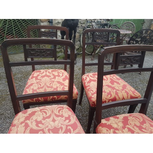 905 - Set of Four Antique Mahogany Chairs Good Condition Upholstered Seats above Turned Supports