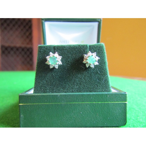 533 - Pair of Platinum Set Emerald and Diamond Cluster Earrings Central Oval Cut Emerald Surrounded by Eig... 