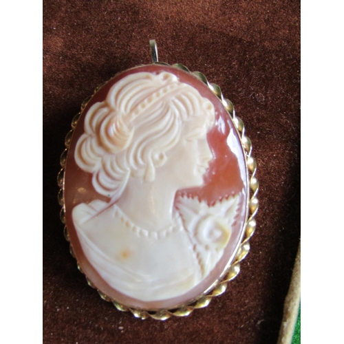 82 - Large 9 Carat Gold Ladies Cameo Brooch Depicting Classical Lady Side Profile with Pendant Fitting