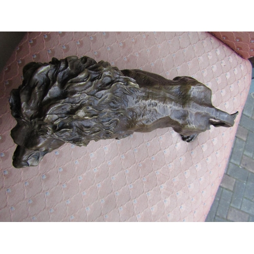 1158 - Bronze Sculpture of Lion Approximately 14 Inches Wide Finely Chased and Modelled