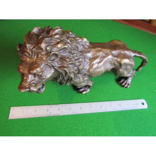 1158 - Bronze Sculpture of Lion Approximately 14 Inches Wide Finely Chased and Modelled