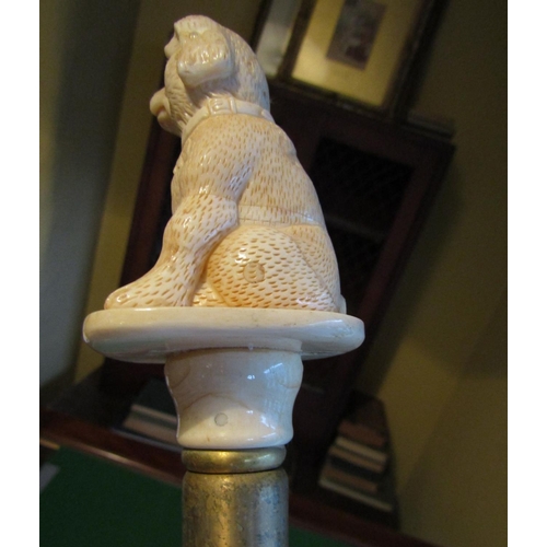 1159 - Canine Motif Carved Handled Walking Stick Cast Brass Collar and Cuff Approximately 38 Inches High