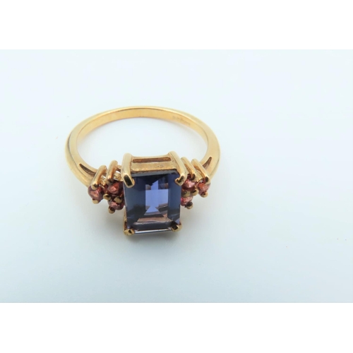 123 - 9 Carat Gold Tanzanite and Garnet Set Ladies Ring Size N