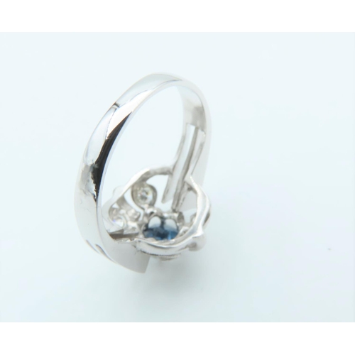 162 - Sapphire and Diamond Ladies Ring Mounted on 14 Carat White Gold Ring Size K