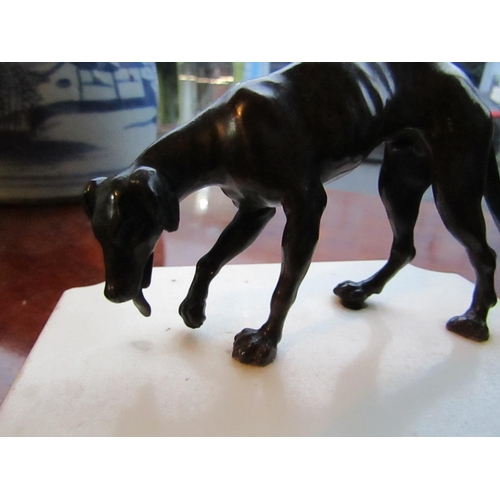 164 - Bronze Sculpture Antique of Hound Mounted on Shaped Form Carrera Marble Base Approximately 5 Inches ... 